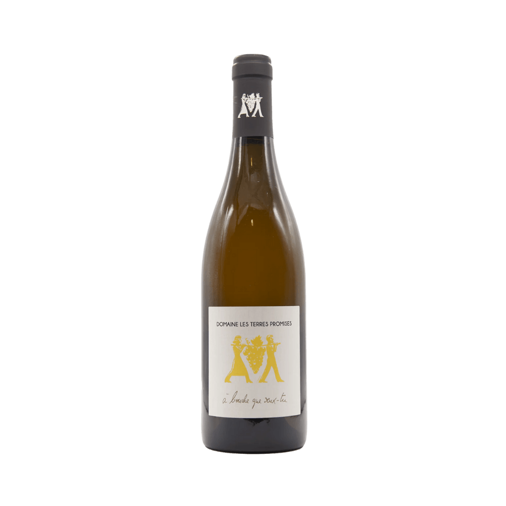 Domaine Les Terres Promises Blanc A Bouche Que Veux 2022 - Vyne