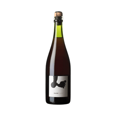 Joan Rubio Ancestral Monastrell 2022 - Vyne