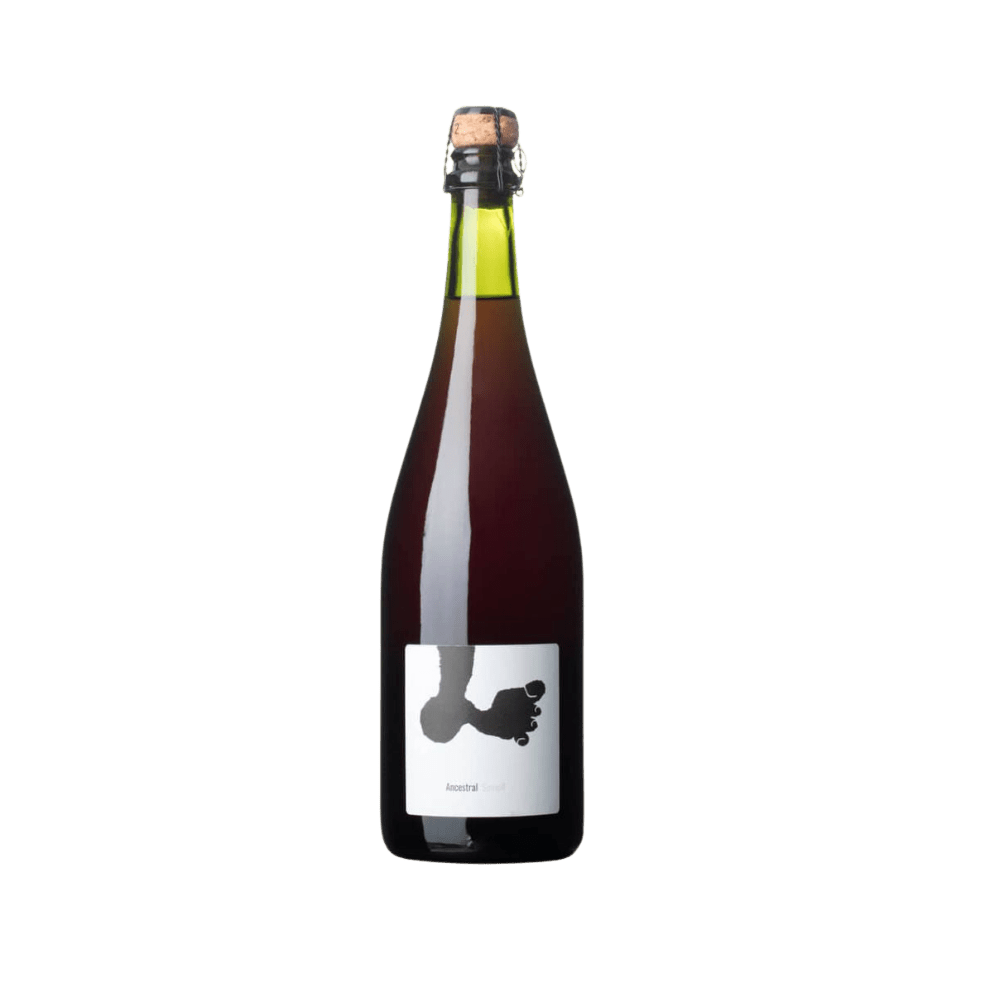 Joan Rubio Ancestral Sumoll 2022 - Vyne