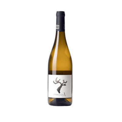 Joan Rubio Essencial 2019 - Vyne