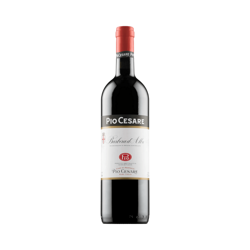 Pio Cesare Barbera d'Alba 2020 - Vyne