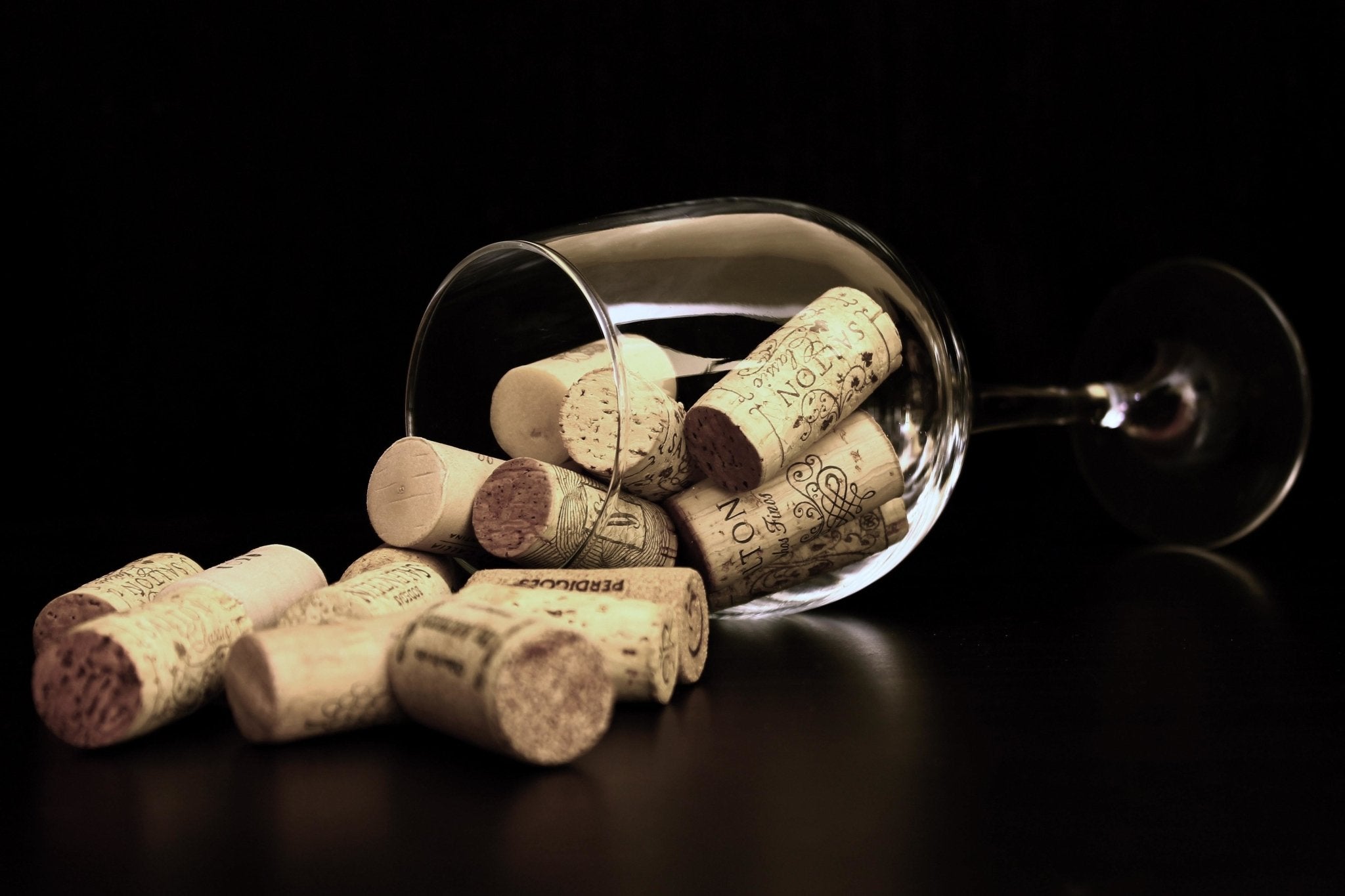 G R E A T  B I G  S T O R Y : This Is Where Wine Corks Come From - Vyne