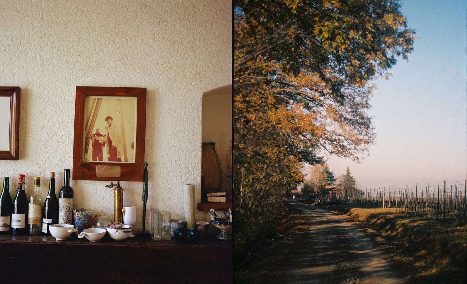 Get To Know Winemakers - La Stoppa - Vyne