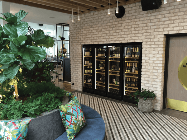 How Do I Store Wines At Home? - Vyne