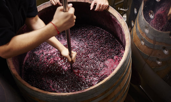 I N S I D E R : How Wine Is Made - Vyne