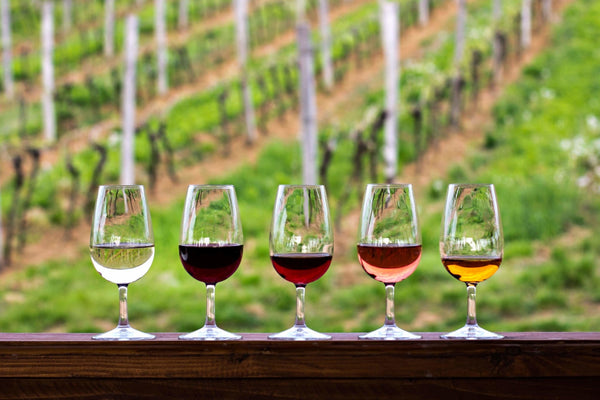 Tasting Guide : 3 Basic Steps To Drink Wine - Vyne