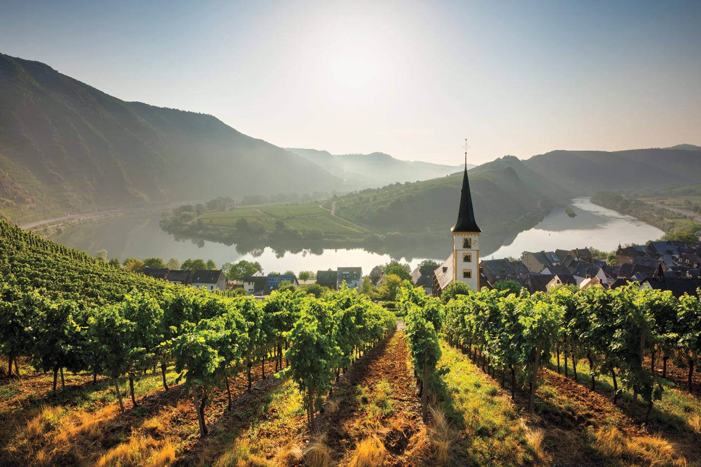 Why Riesling Is Wine’s Most Misunderstood Grape - Vyne