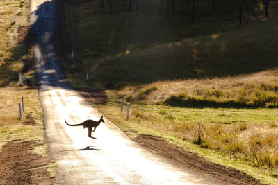 Australia | VYNE