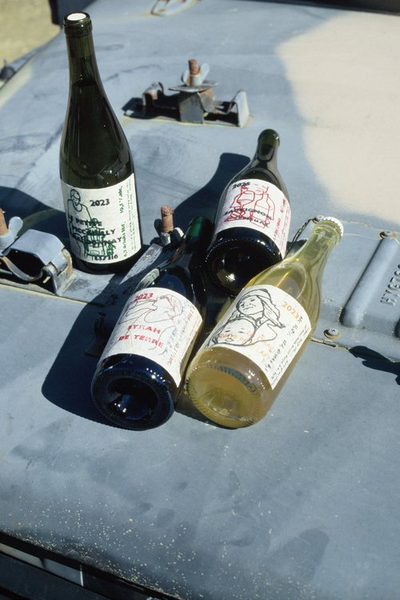 Lucy Margaux Wines | Vyne