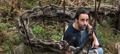 Suertes del Marques - Vyne