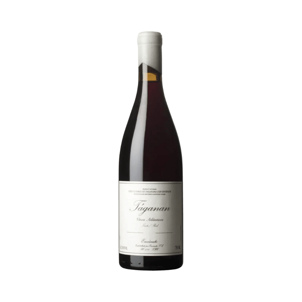 Envinate Taganan Tinto 2021 - Vyne
