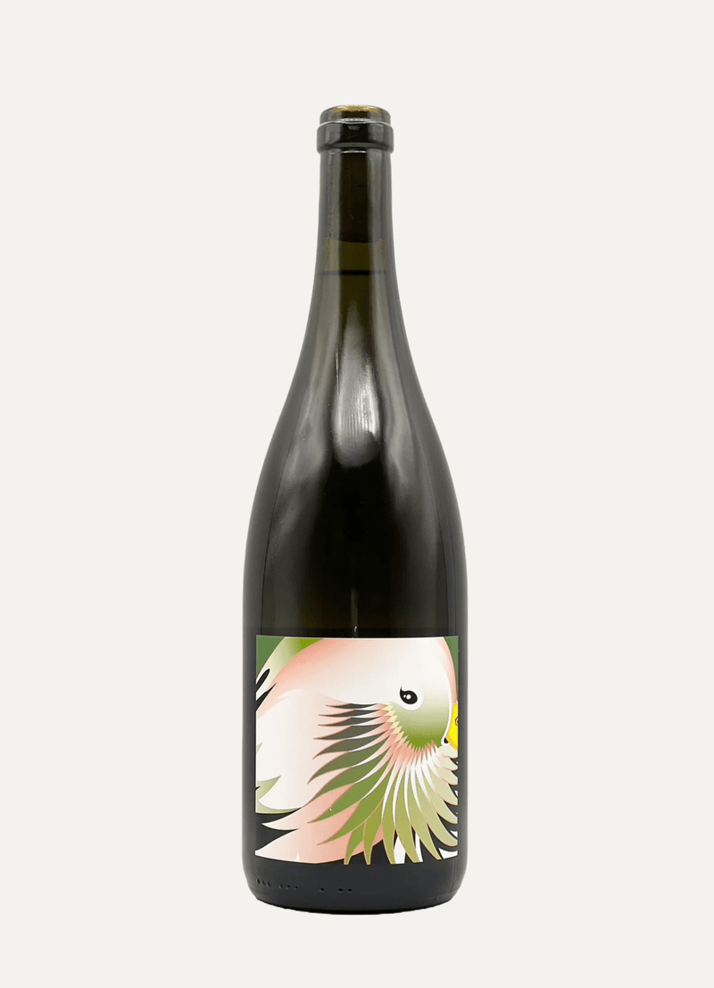 Grape Republic Bianco 2022 - Vyne