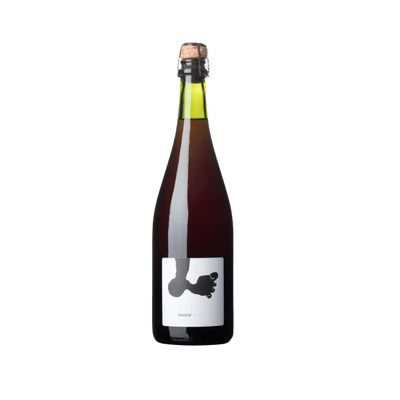 Joan Rubio Ancestral Sumoll 2022 - Vyne