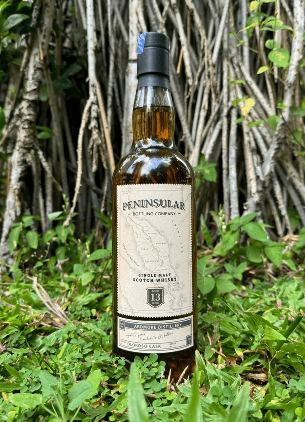 Peninsular Bottling Co Ardmore 13 Years Oloroso - Vyne