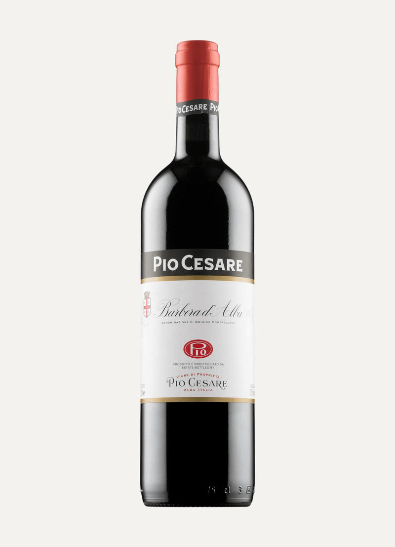 Pio Cesare Barbera d'Alba 2020 - Vyne