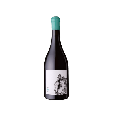 Sicus Sons Malvasia 2018 - Vyne