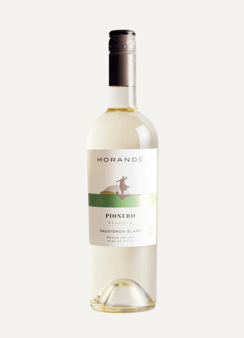 Morandé Pionero Sauvignon Blanc Reserva 2022 - Vyne