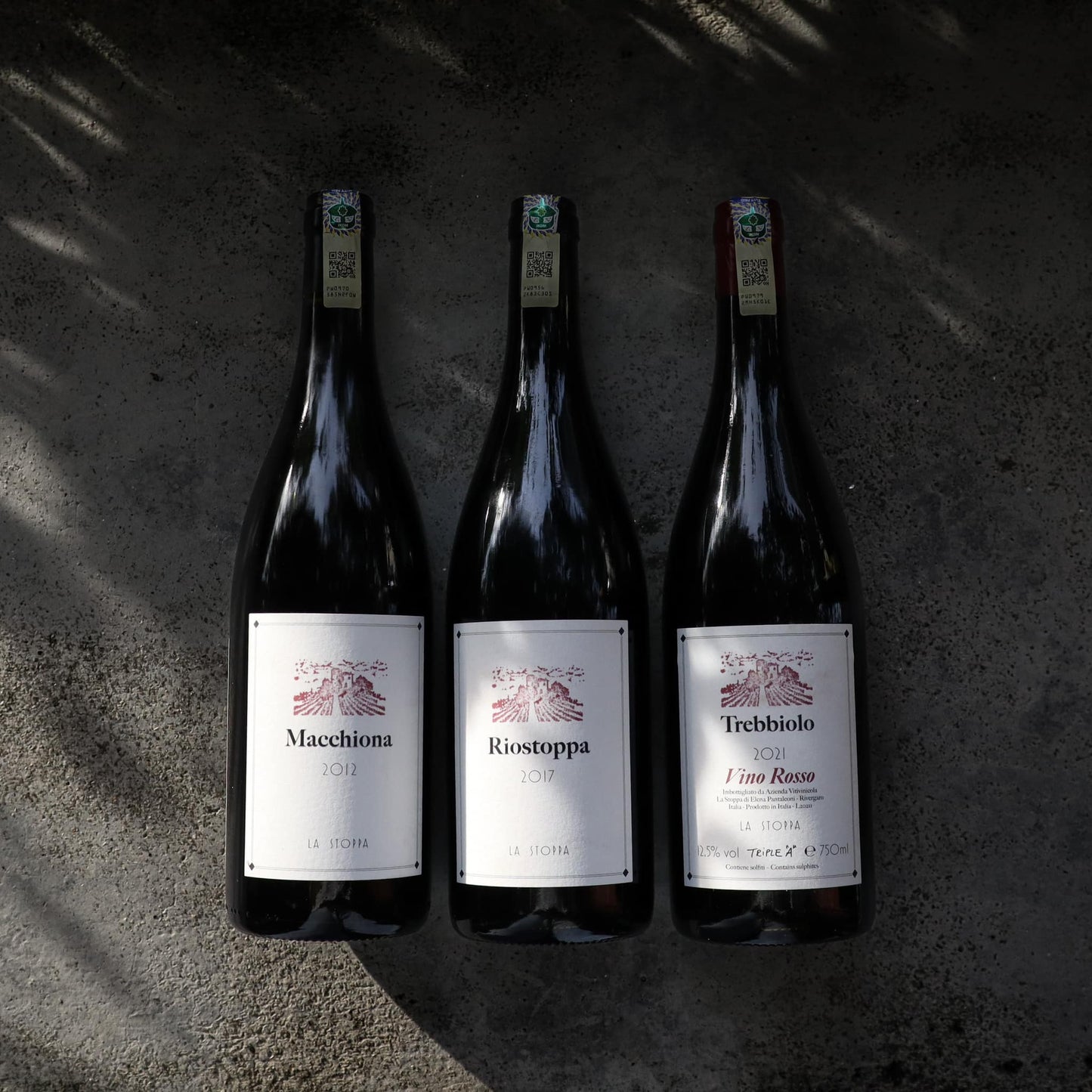 Vyne Pours Over | Curios-City, Penang | Natural Wine Tasting - Vyne